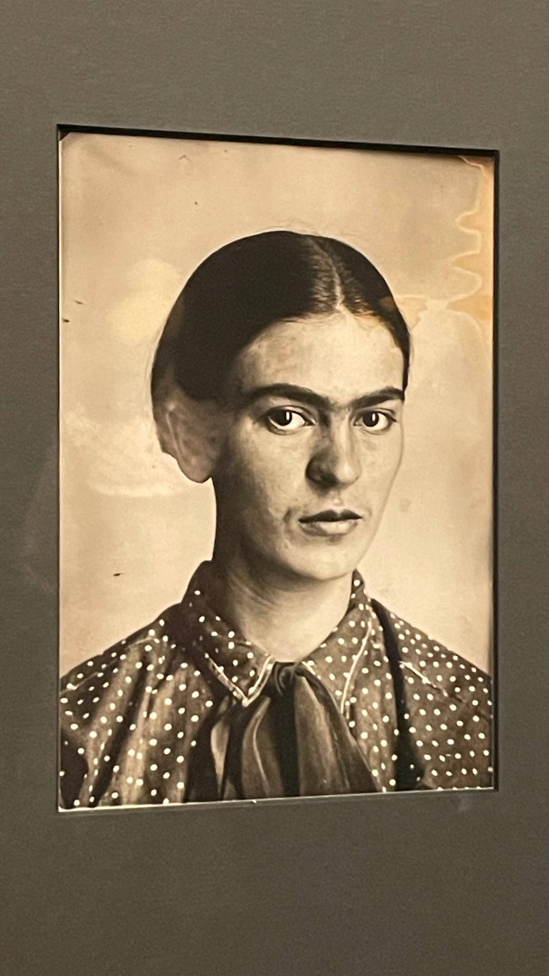 Soohyun park, Frida Khalo