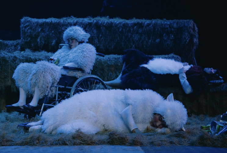 <The Great Battle of the Sheep Ranch>, Jeongdong Theater Cecil ©Greenpig